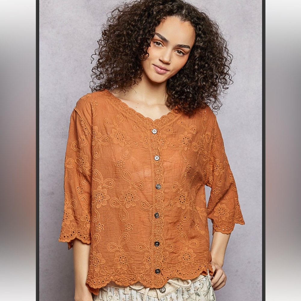341 🇺🇸POL one size semi sheer floral embroidery top